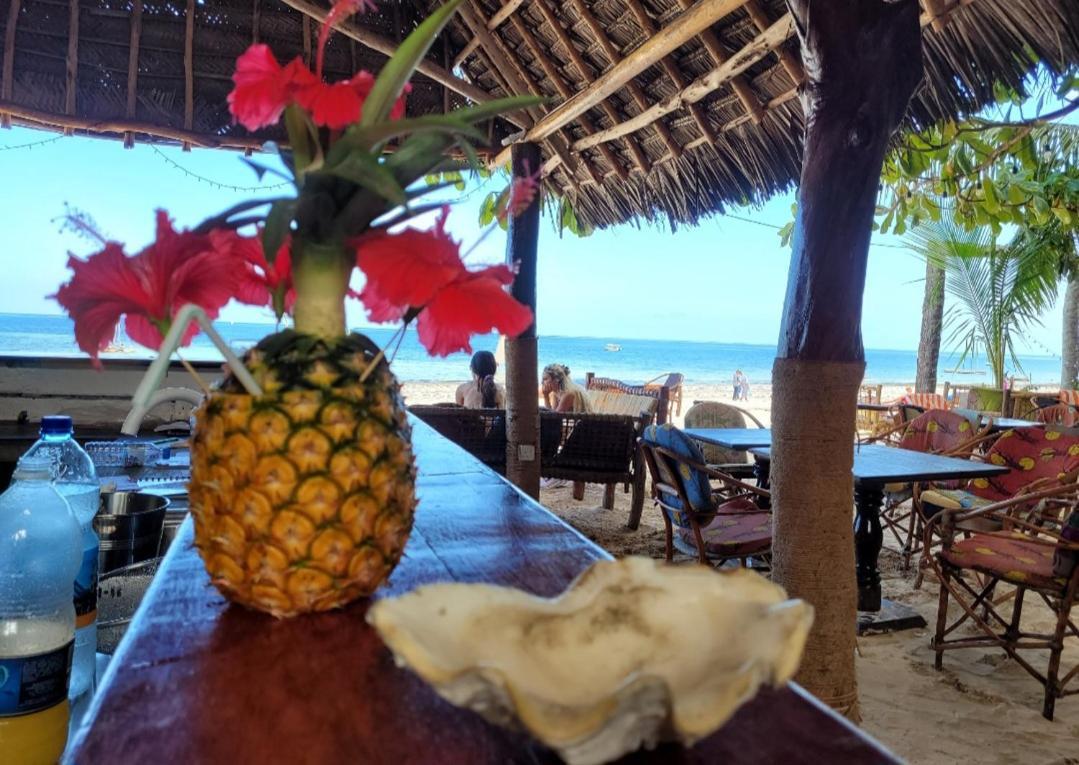 Sipano Beach Lodge Kiwengwa Kiwengwa  Zewnętrze zdjęcie