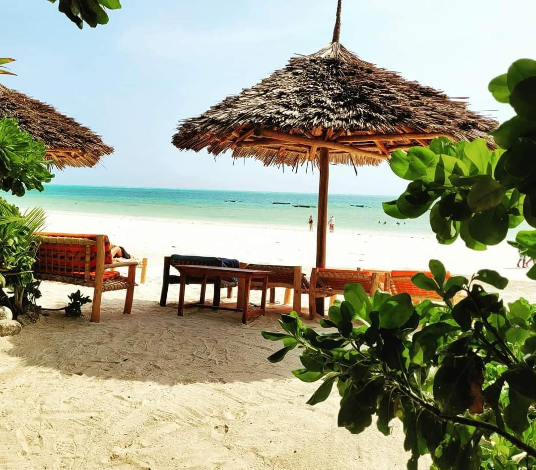 Sipano Beach Lodge Kiwengwa Kiwengwa  Zewnętrze zdjęcie