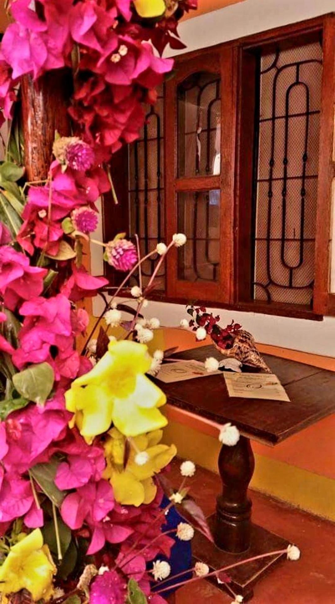 Sipano Beach Lodge Kiwengwa Kiwengwa  Zewnętrze zdjęcie