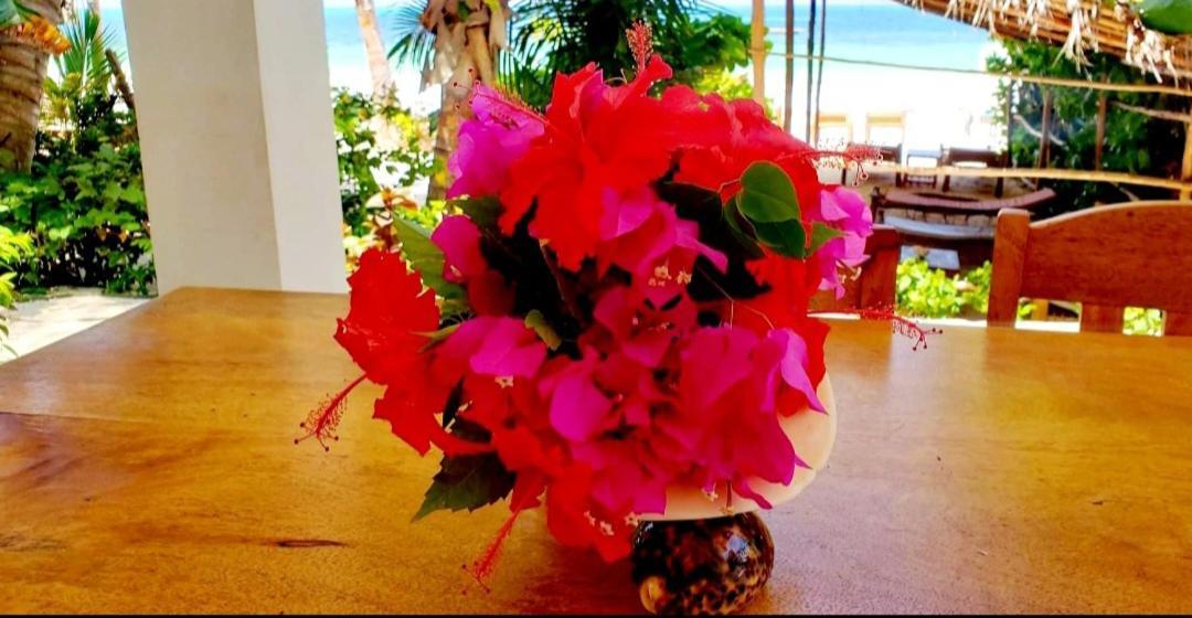 Sipano Beach Lodge Kiwengwa Kiwengwa  Zewnętrze zdjęcie