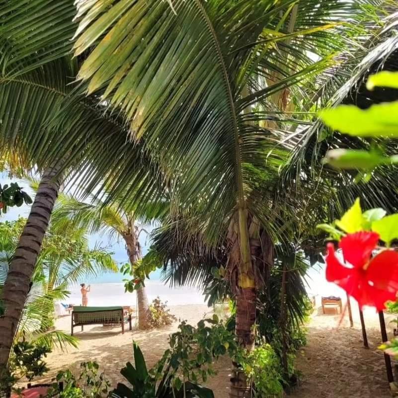 Sipano Beach Lodge Kiwengwa Kiwengwa  Zewnętrze zdjęcie