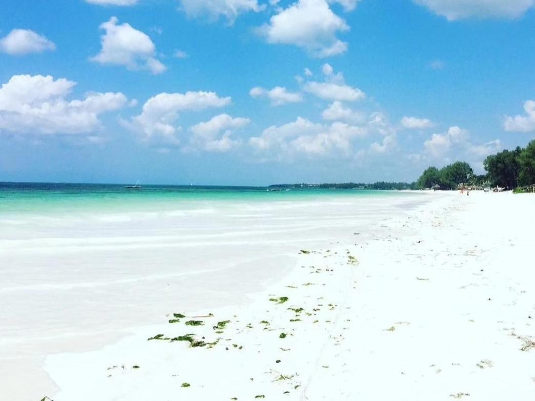 Sipano Beach Lodge Kiwengwa Kiwengwa  Zewnętrze zdjęcie
