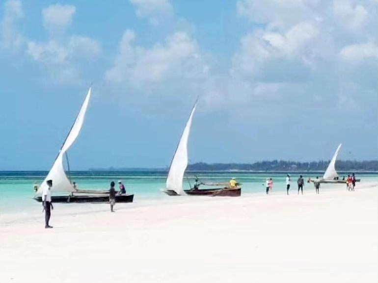 Sipano Beach Lodge Kiwengwa Kiwengwa  Zewnętrze zdjęcie